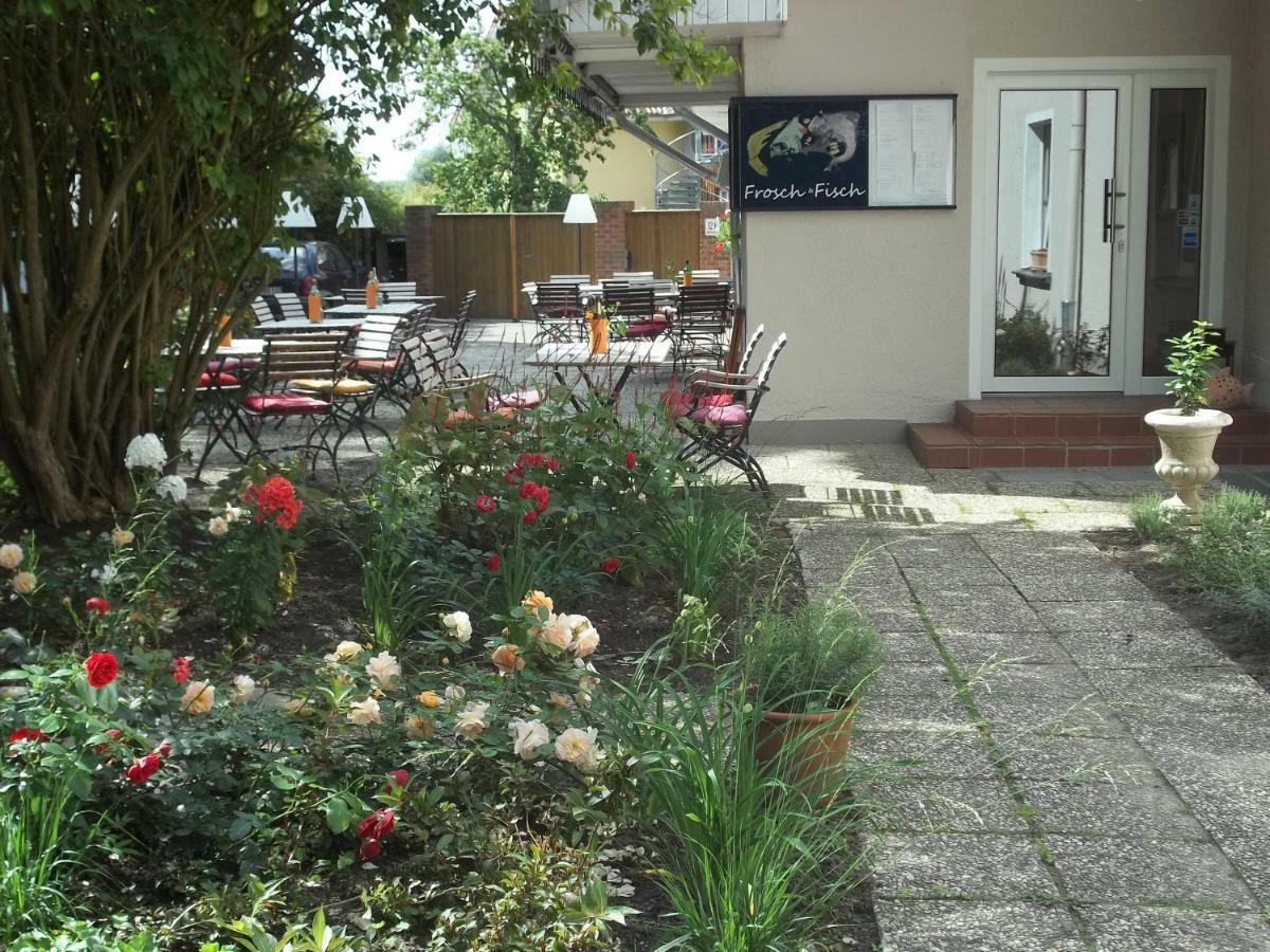"Frosch & Fisch" Bed & Breakfast Himmelpfort Bagian luar foto